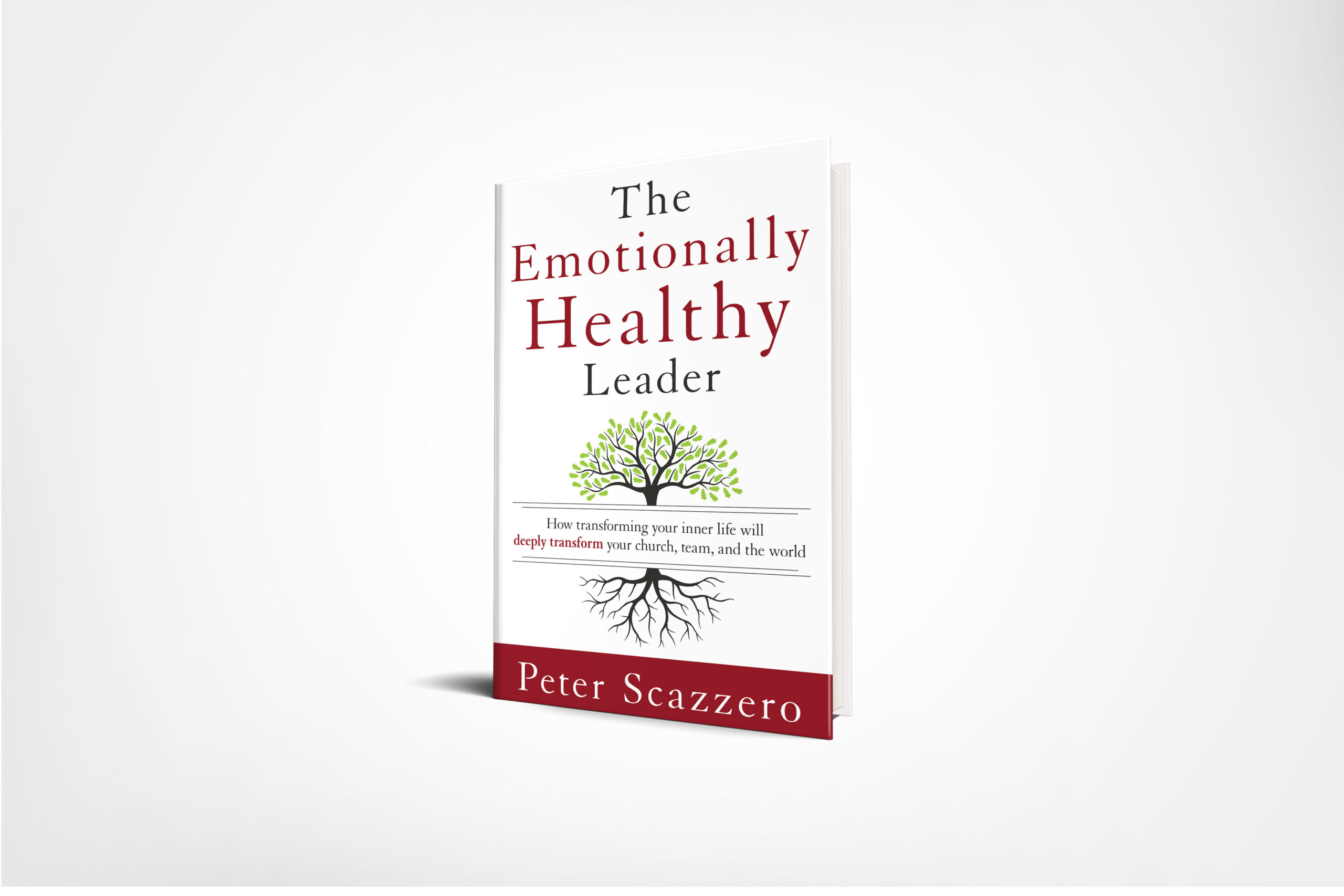 The Emotionally Healthy Leader – Book Product Image